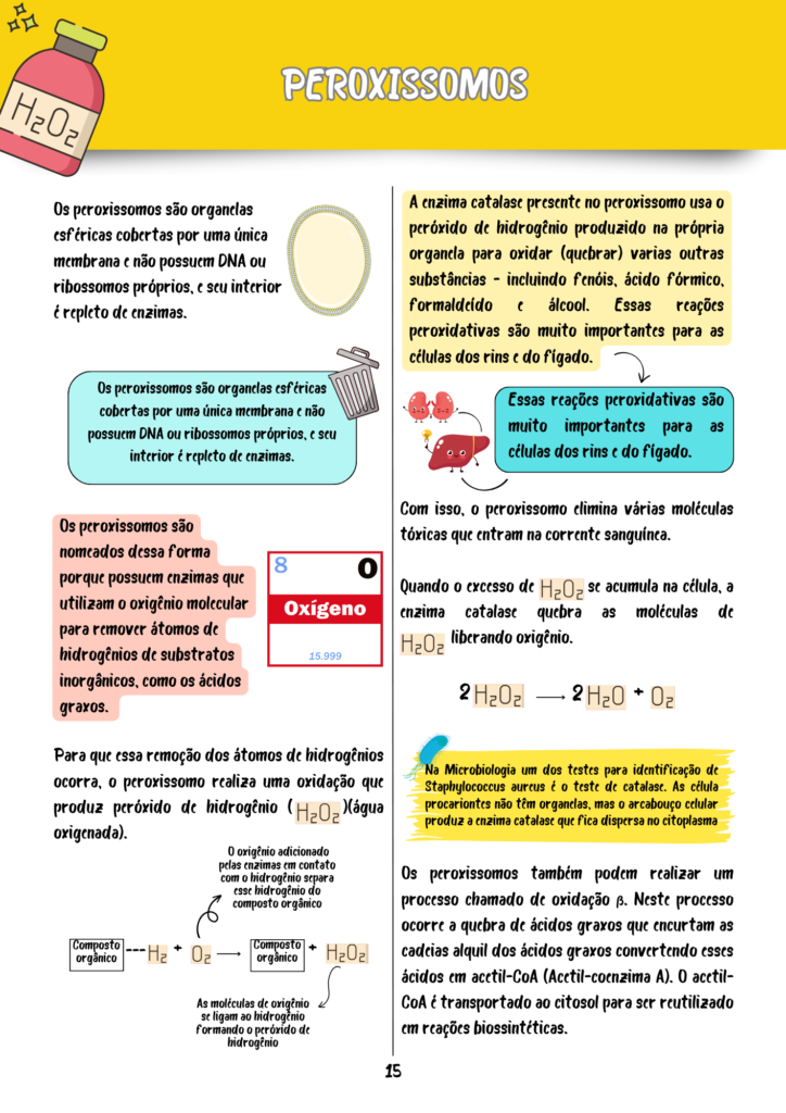 Resumos-Biologia-Celular-e-Molecular-2.png