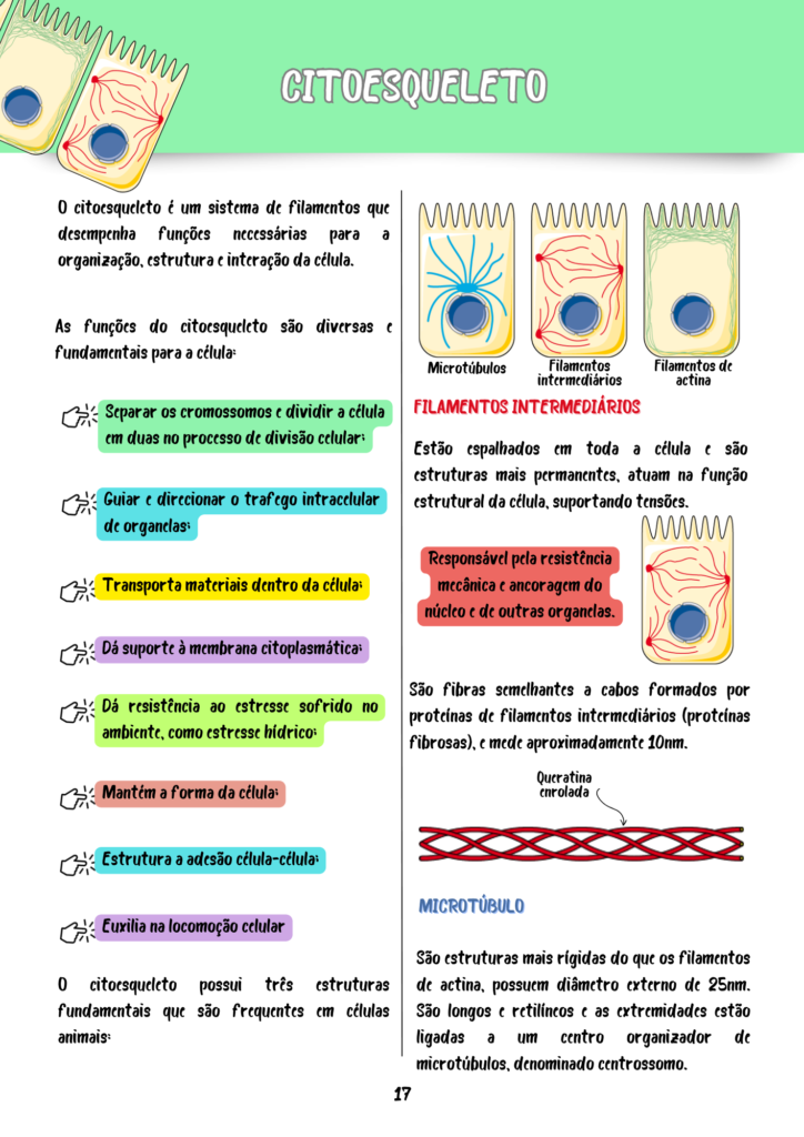 Resumos-Biologia-Celular-e-Molecular-3.png