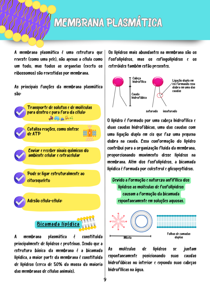 Resumos-Biologia-Celular-e-Molecular-4.png