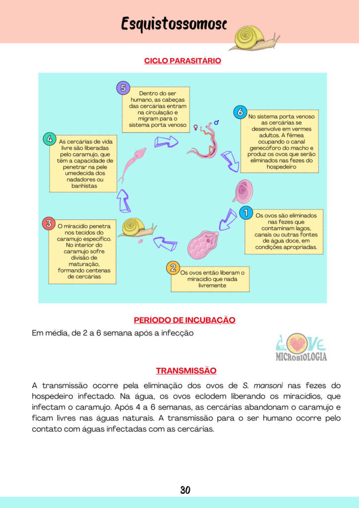 Resumos-Parasitologia-9.png
