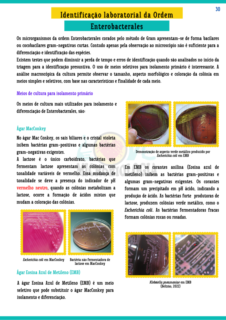 Resumos-de-Microbiologia-Clinica-8.png